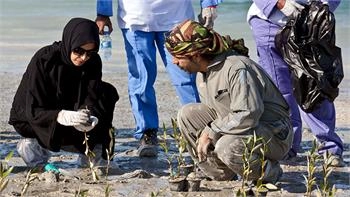 Loading content, please wait...